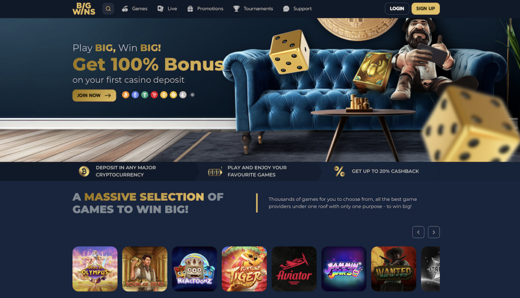 bigwin crypto casino